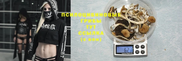 шишки Богданович