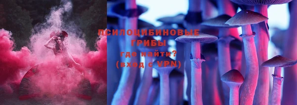 шишки Богданович