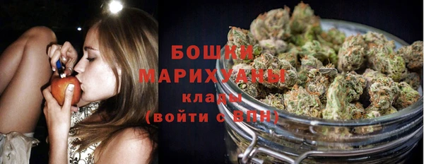 шишки Богданович