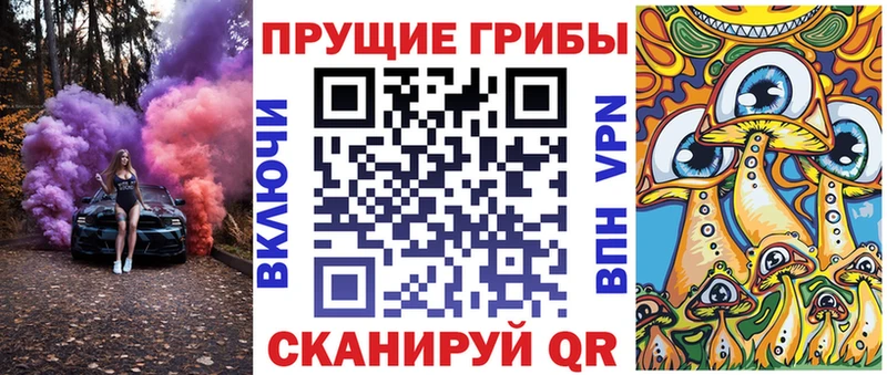 Купить закладки  Саки  Псилоцибиновые грибы Cubensis 